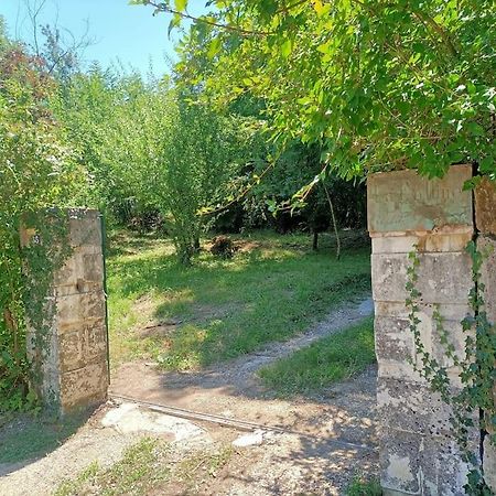 La Colline Aux Oiseaux, La Tranquillite Des Bois Vila Molieres-sur-Ceze Exterior foto