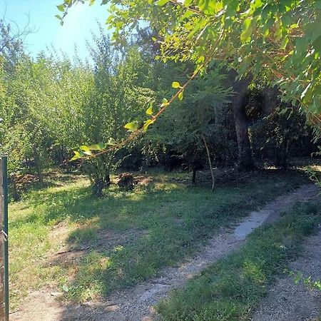 La Colline Aux Oiseaux, La Tranquillite Des Bois Vila Molieres-sur-Ceze Exterior foto