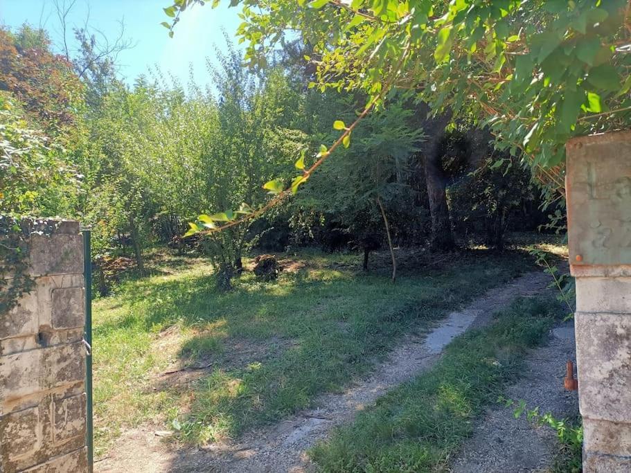 La Colline Aux Oiseaux, La Tranquillite Des Bois Vila Molieres-sur-Ceze Exterior foto