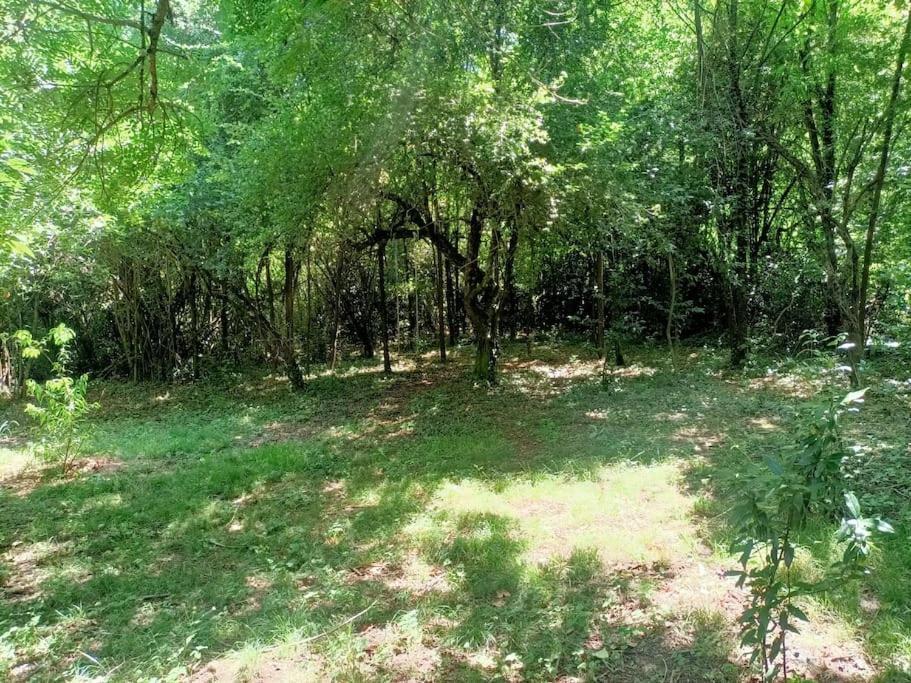 La Colline Aux Oiseaux, La Tranquillite Des Bois Vila Molieres-sur-Ceze Exterior foto